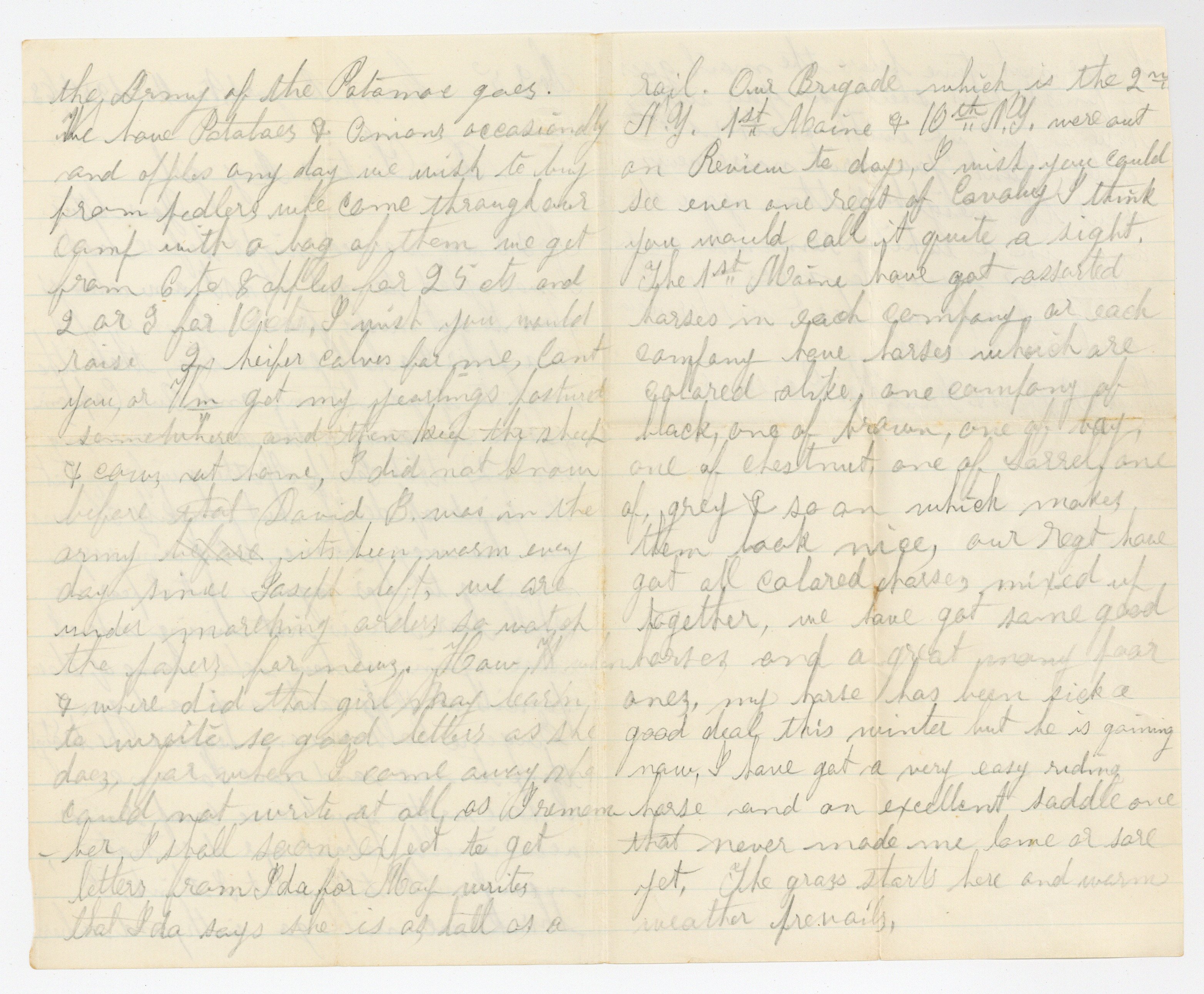 Camp Bayard, VA

24 March 1863